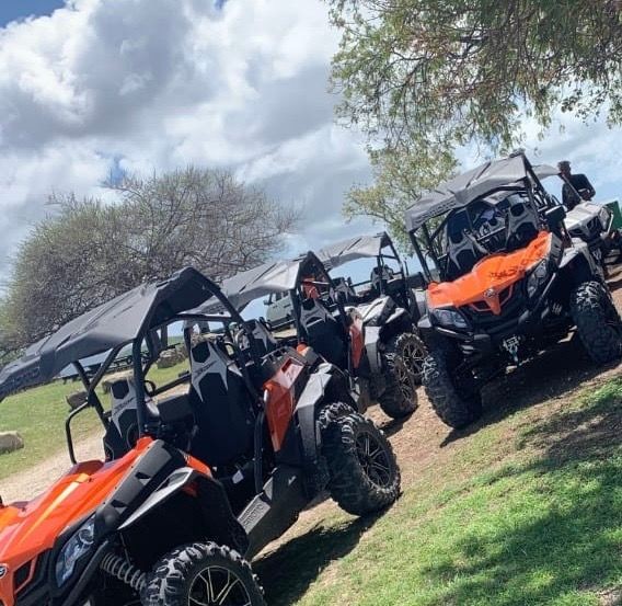 Several orange off-road vehicles parked on a grassy area under a cloudy sky.