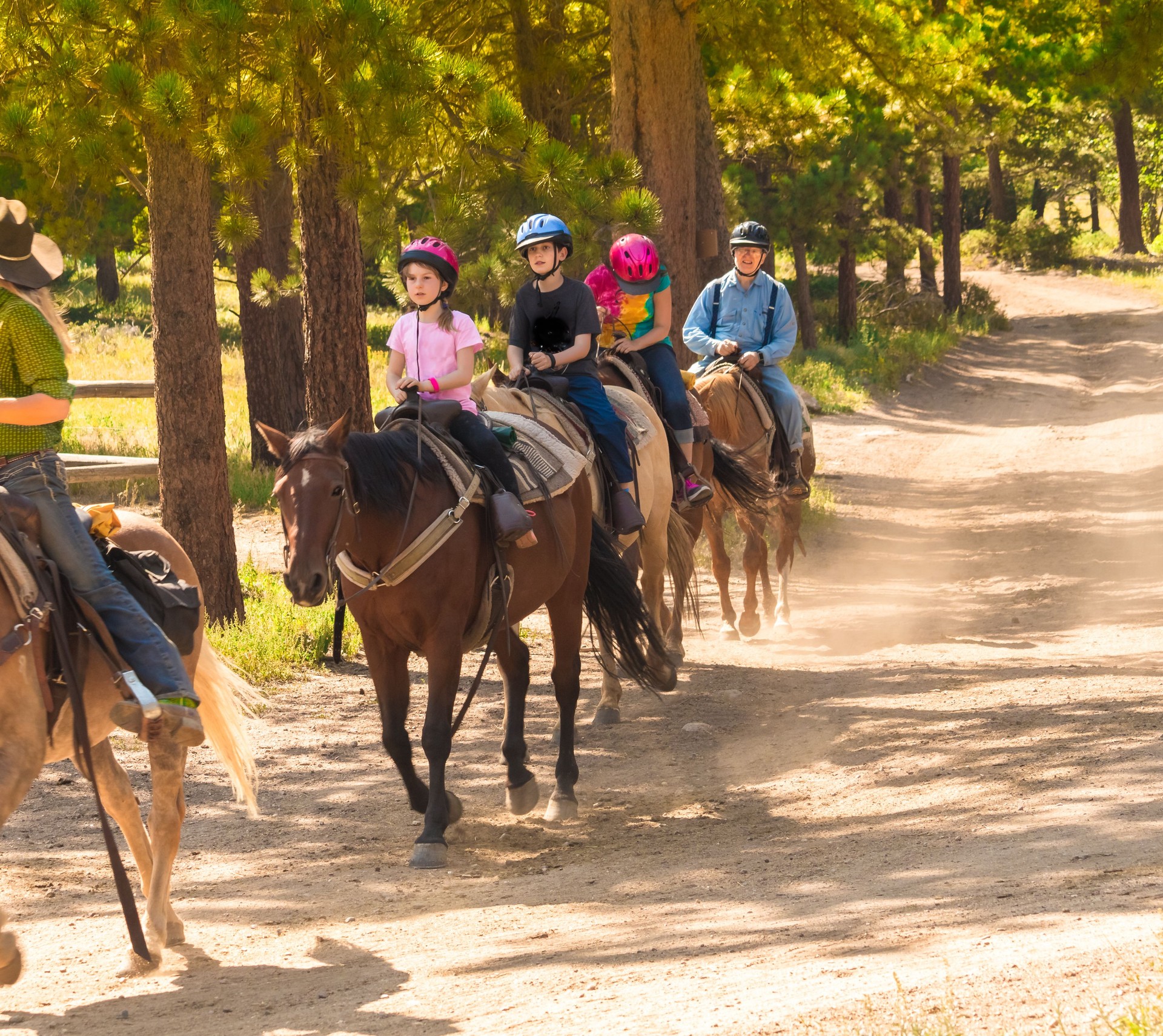 Family taking horseback riding lesson in Colorado, USA