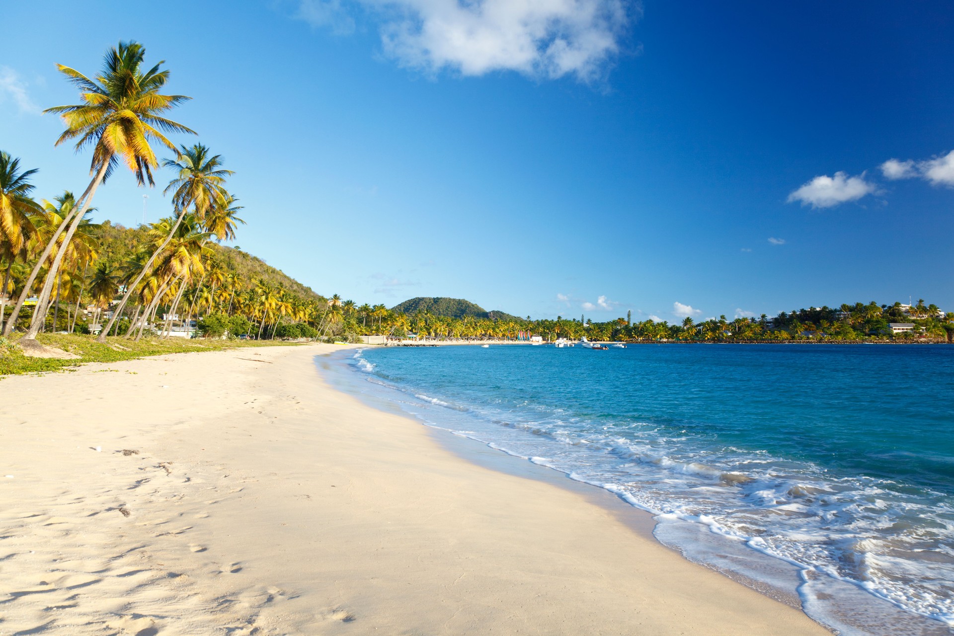 Perfect Caribbean Beach